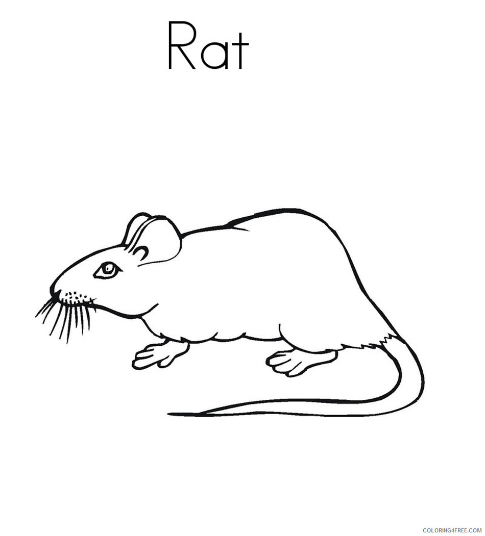 Rat Coloring Pages Animal Printable Sheets Rat 2021 4260 Coloring4free