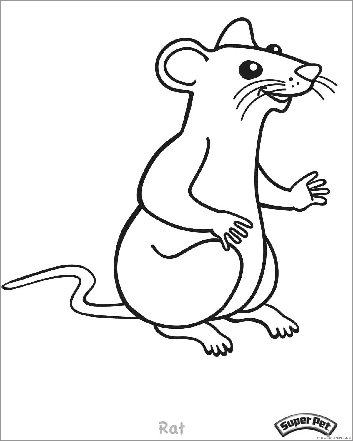 Rat Coloring Pages Animal Printable Sheets cartoon rat 2021 4243 Coloring4free