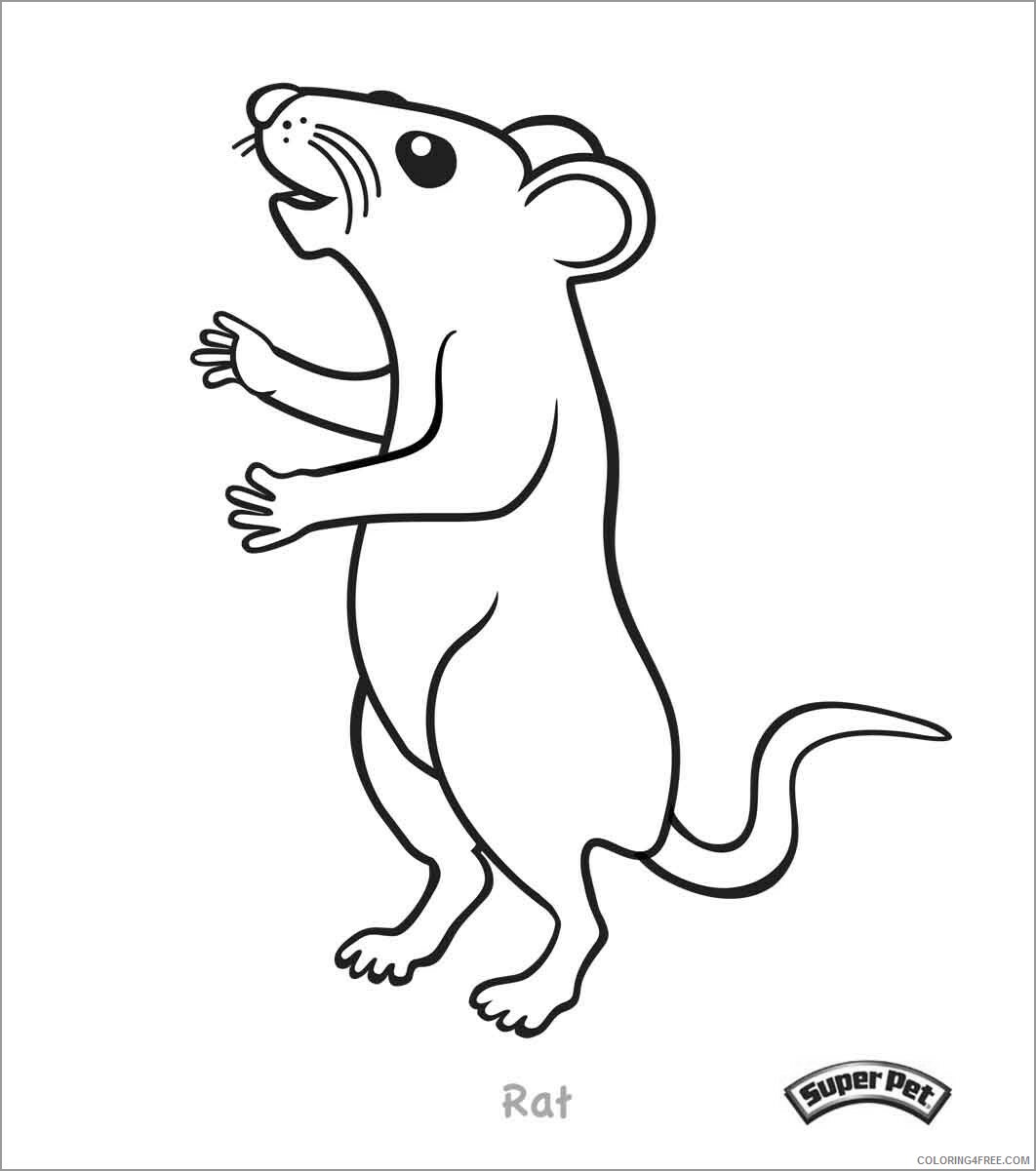 Rat Coloring Pages Animal Printable Sheets of a rat 2021 4244 Coloring4free