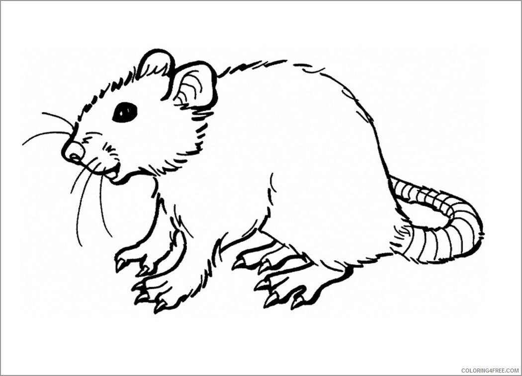 Rat Coloring Pages Animal Printable Sheets printable rat for kids 2021 4247 Coloring4free