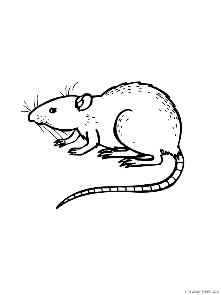 Rat Coloring Pages Animal Printable Sheets rat 11 2021 4249 Coloring4free