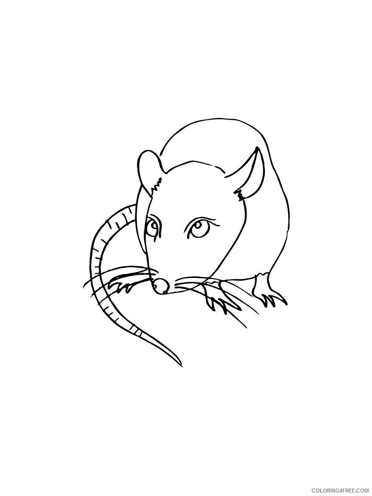 Rat Coloring Pages Animal Printable Sheets rat 2 2021 4254 Coloring4free