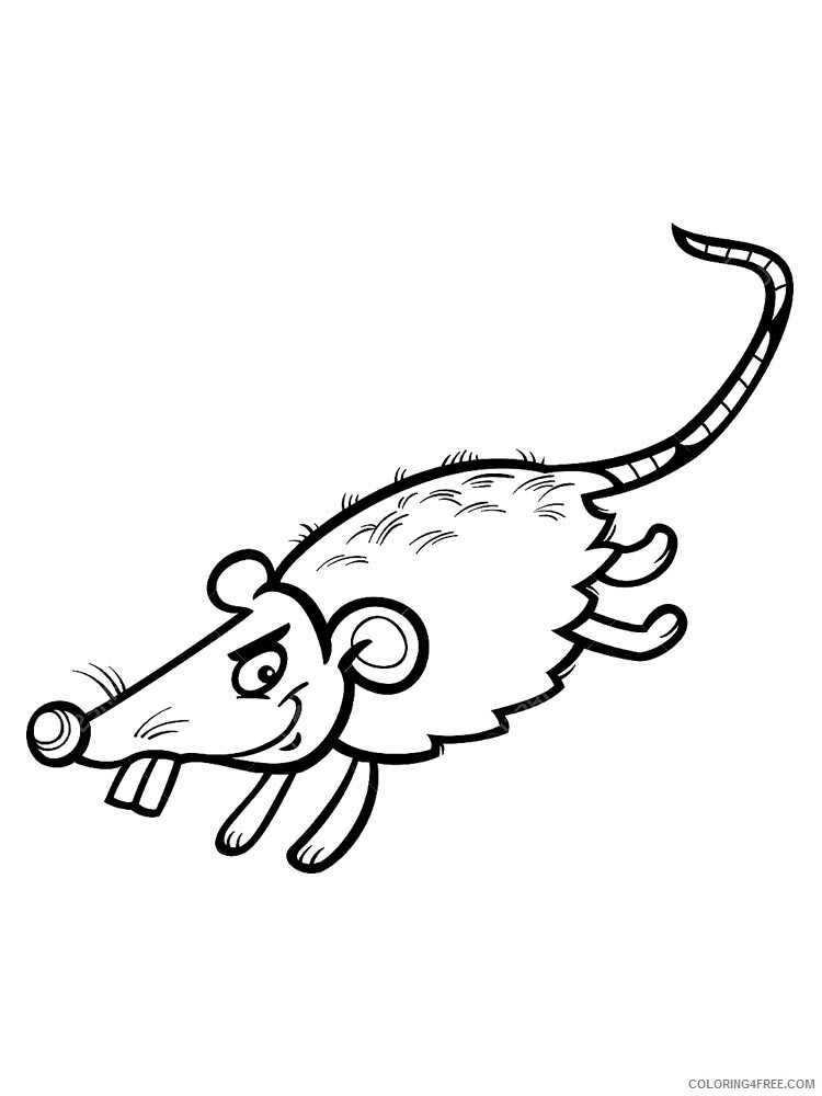 Rat Coloring Pages Animal Printable Sheets rat 4 2021 4256 Coloring4free