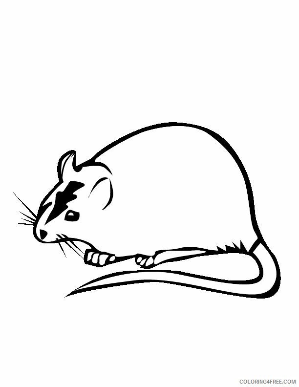 Rat Coloring Sheets Animal Coloring Pages Printable 2021 3690 Coloring4free