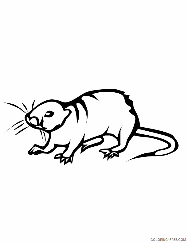 Rat Coloring Sheets Animal Coloring Pages Printable 2021 3691 Coloring4free