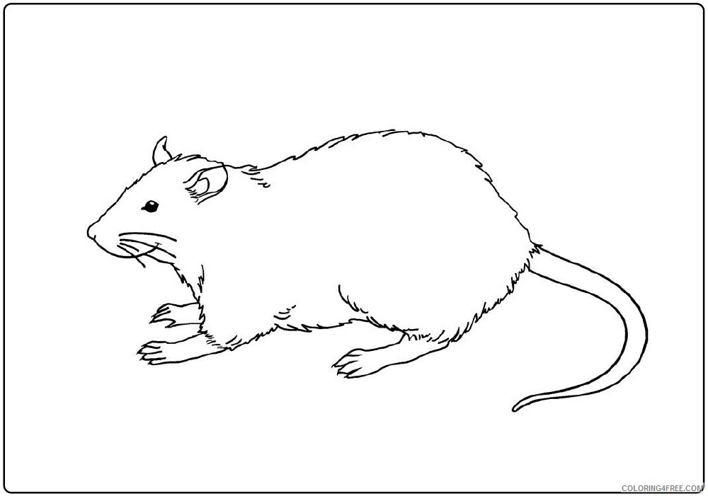 Rat Coloring Sheets Animal Coloring Pages Printable 2021 3702 Coloring4free