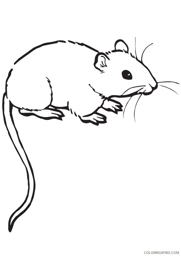 Rat Coloring Sheets Animal Coloring Pages Printable 2021 3704 Coloring4free