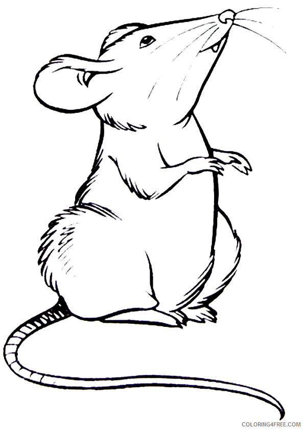 Rat Coloring Sheets Animal Coloring Pages Printable 2021 3708 Coloring4free