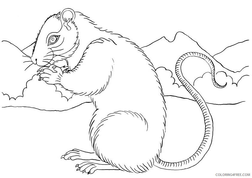 Rat Coloring Sheets Animal Coloring Pages Printable 2021 3712 Coloring4free