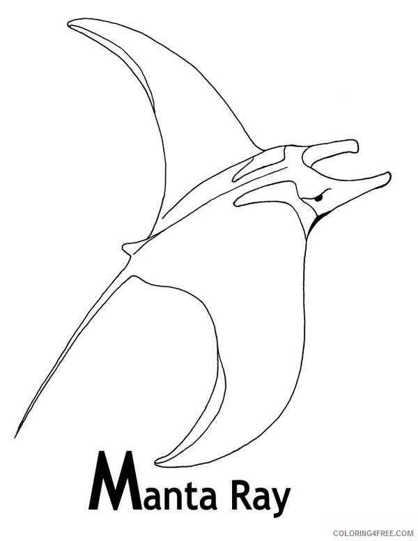 Ray Coloring Pages Animal Printable Sheets M is for Manta Ray 2021 4268 Coloring4free