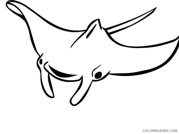 Ray Coloring Pages Animal Printable Sheets Manta Ray Outline 2021 4267 Coloring4free