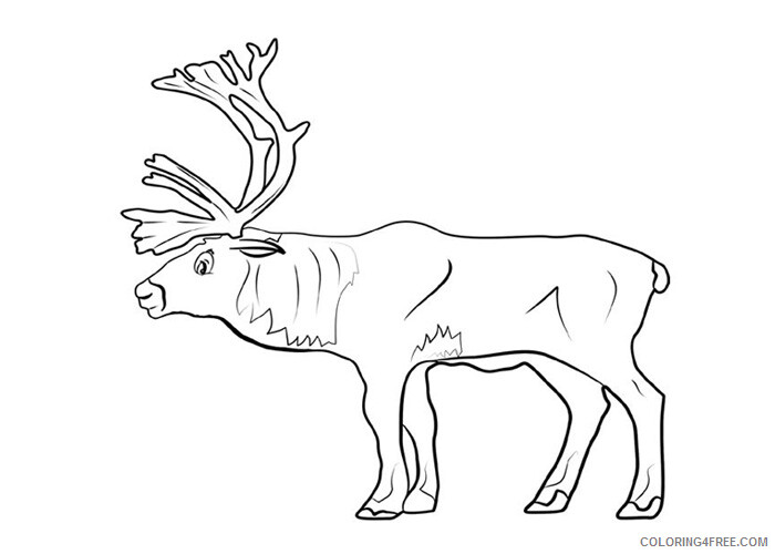 Reindeer Coloring Pages Animal Printable Sheets North Pole reindeer 2021 4281 Coloring4free