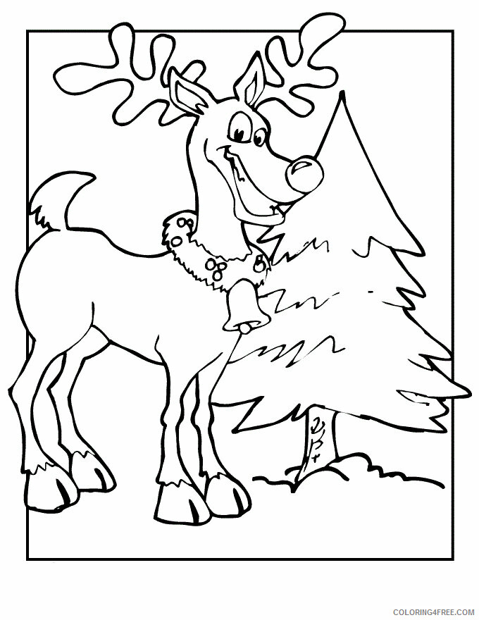 Reindeer Coloring Pages Animal Printable Sheets Reindeer Free 2021 4287 Coloring4free