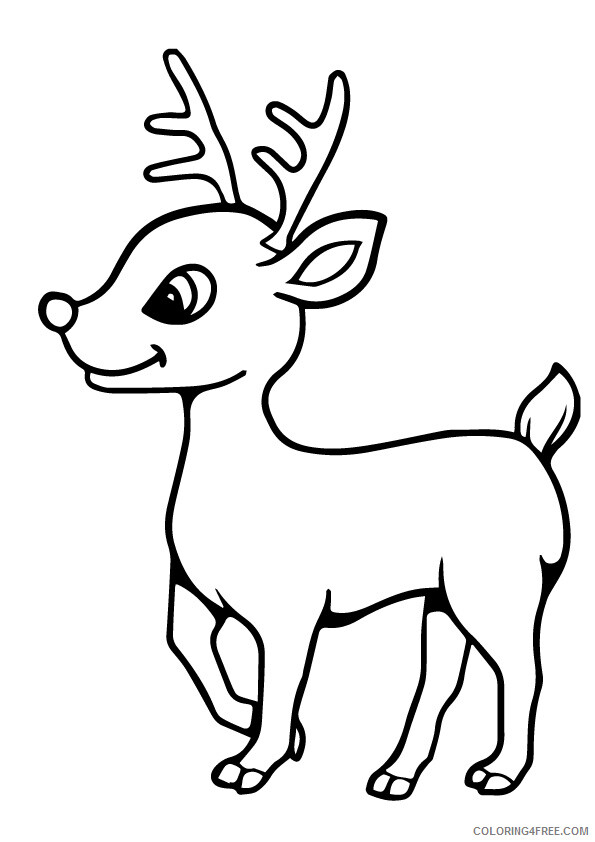Reindeer Coloring Pages Animal Printable Sheets a reindeer baby 2021 4270 Coloring4free