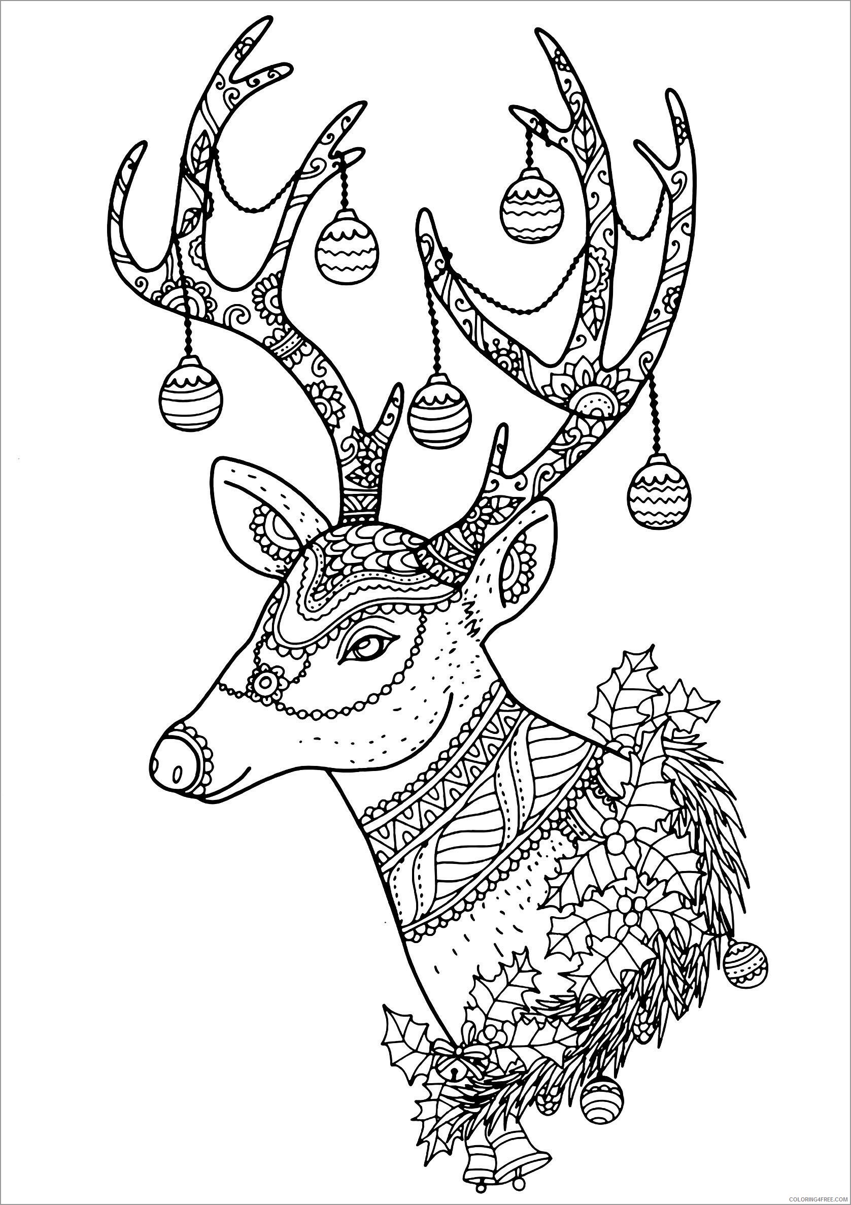 Reindeer Coloring Pages Animal Printable Sheets christmas detailed head 2021 Coloring4free