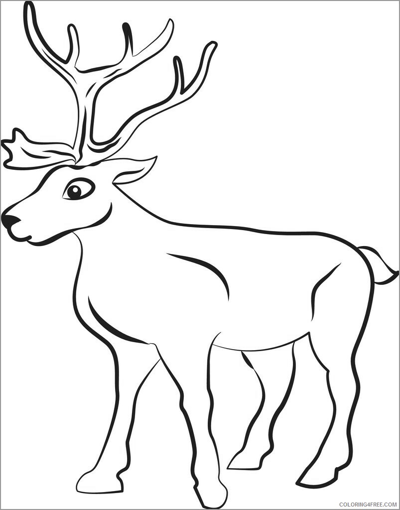 Reindeer Coloring Pages Animal Printable Sheets of a reindeer 2021 4278 Coloring4free