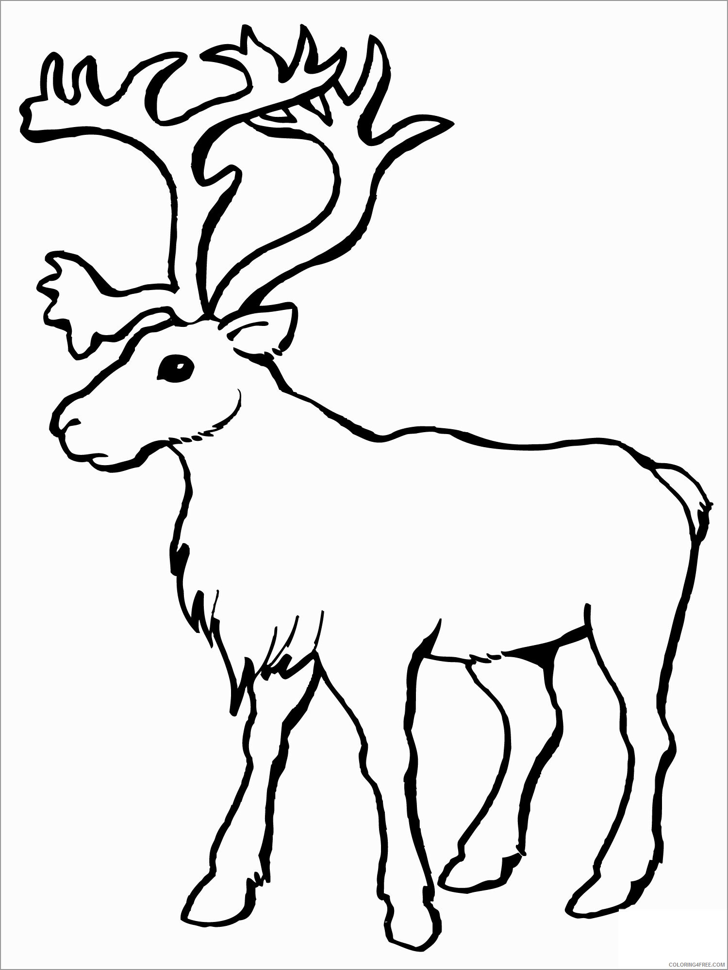 Reindeer Coloring Pages Animal Printable Sheets printable reindeer to print 2021 Coloring4free