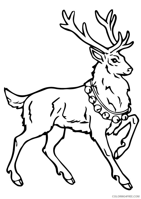 Reindeer Coloring Sheets Animal Coloring Pages Printable 2021 3723 Coloring4free