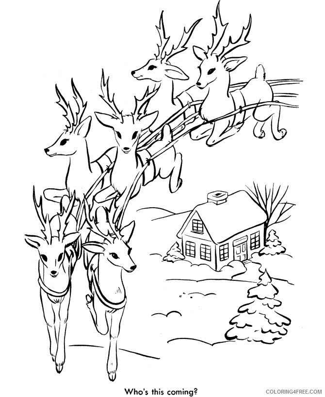 Reindeer Coloring Sheets Animal Coloring Pages Printable 2021 3769 Coloring4free