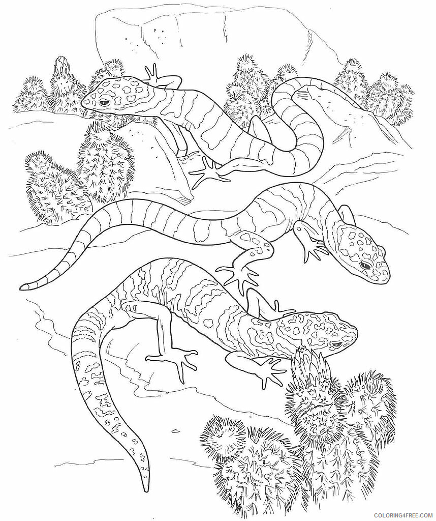 Reptile Coloring Pages Animal Printable Sheets Desert Reptiles 2021 4291 Coloring4free