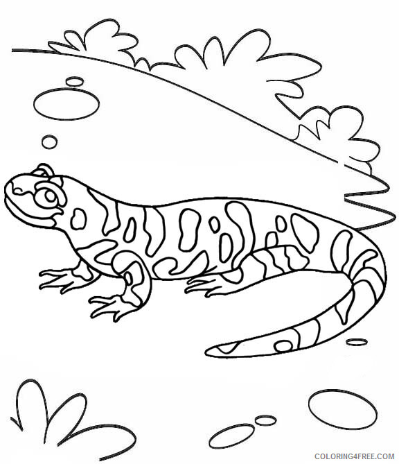 Reptile Coloring Pages Animal Printable Sheets Gecko Reptile 2021 4292 Coloring4free