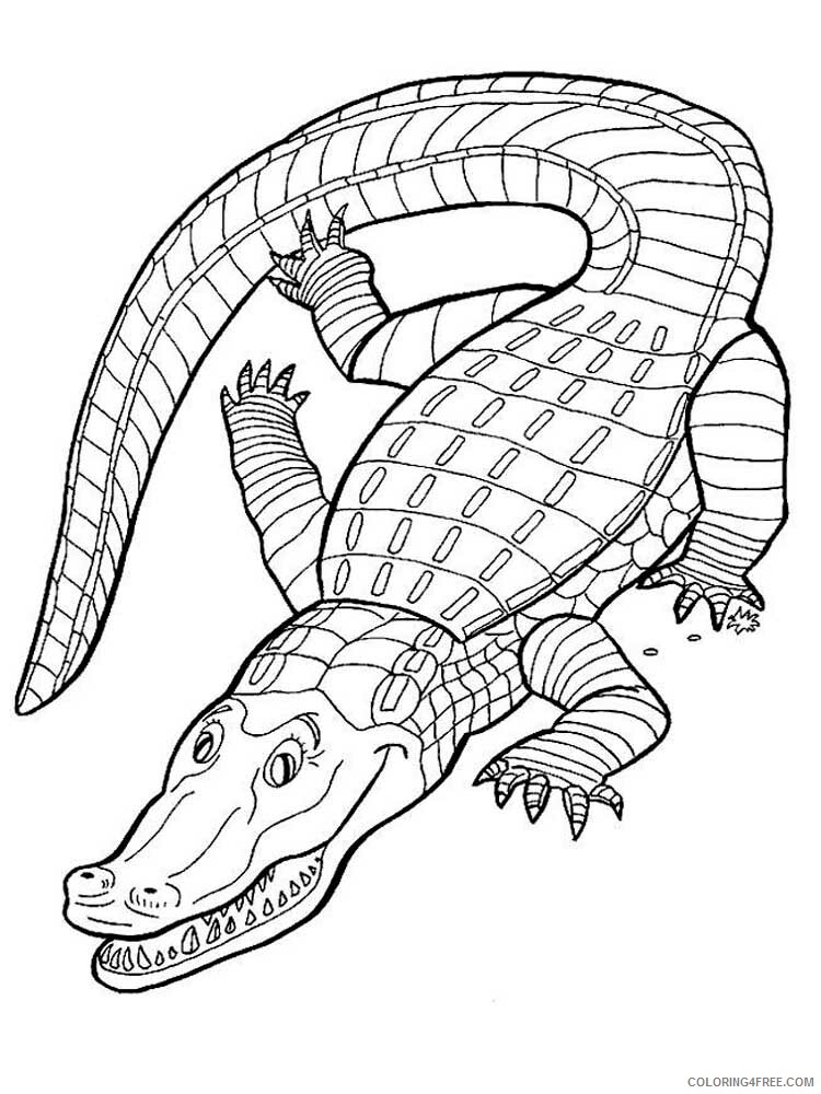 Reptile Coloring Pages Animal Printable Sheets Reptile 10 2021 4296 Coloring4free