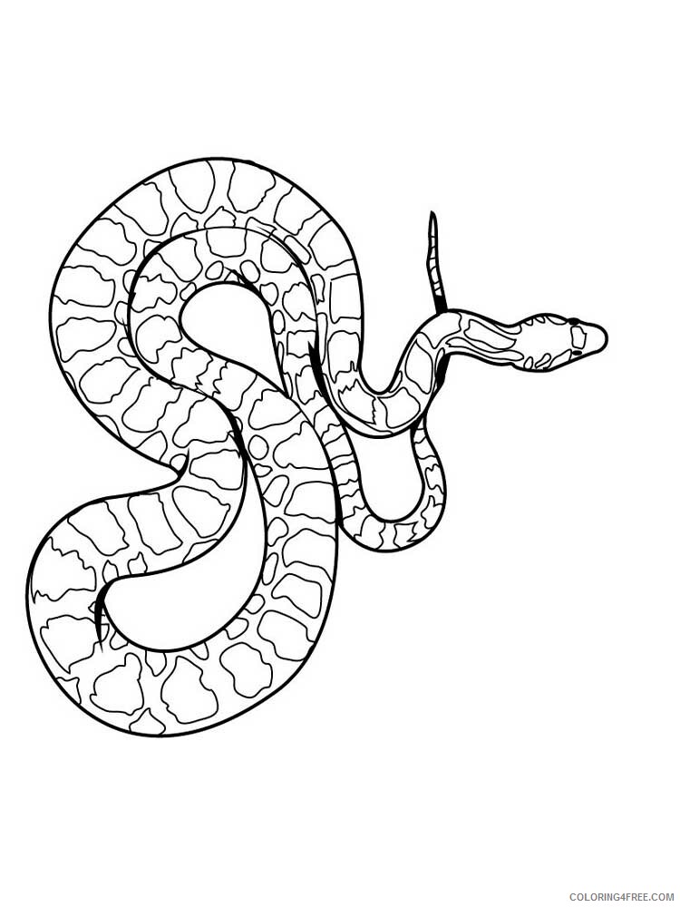 Reptile Coloring Pages Animal Printable Sheets Reptile 17 2021 4298 Coloring4free