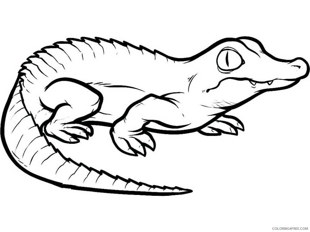Reptile Coloring Pages Animal Printable Sheets Reptile 6 2021 4302 Coloring4free