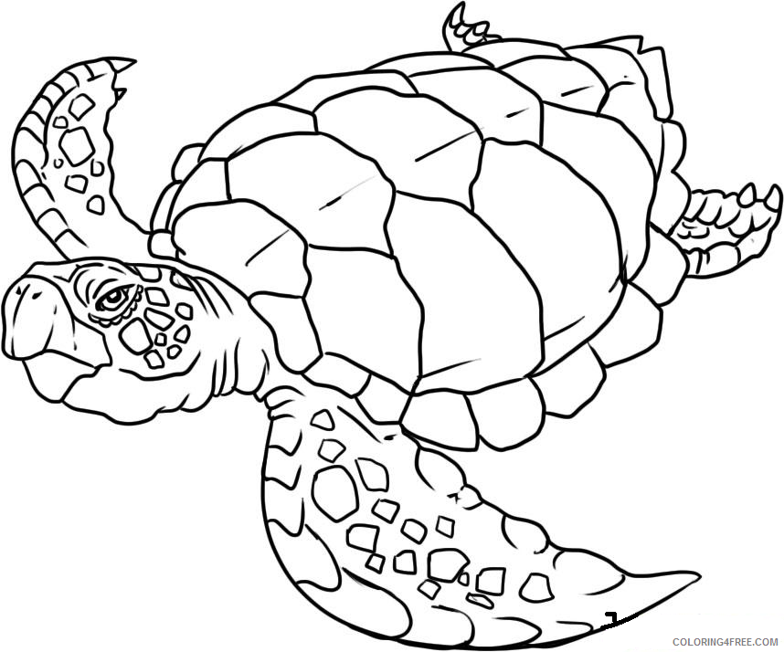 Reptile Coloring Pages Animal Printable Sheets Sea Turtle Reptile 2021 4305 Coloring4free