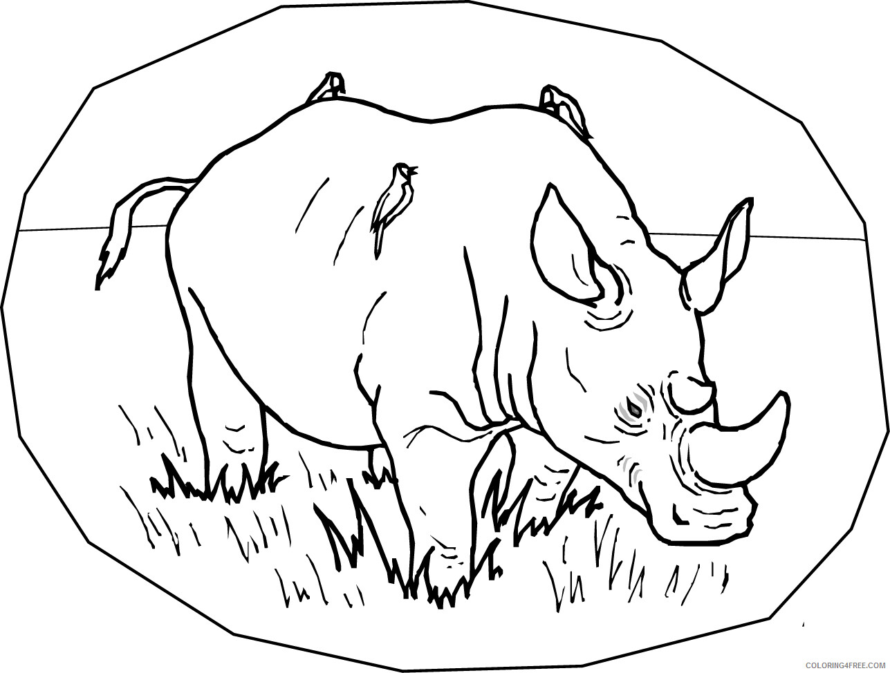 Rhino Coloring Pages Animal Printable Sheets Free Rhinoceros 2021 4313 Coloring4free