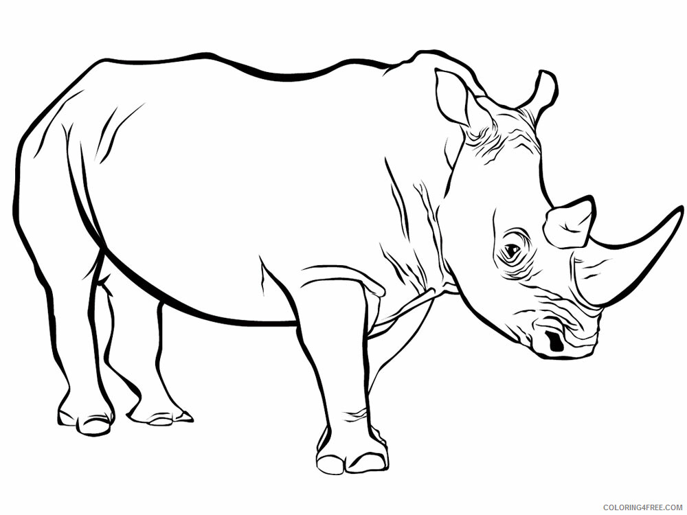 Rhino Coloring Pages Animal Printable Sheets Rhino animal 348 2021 4327 Coloring4free