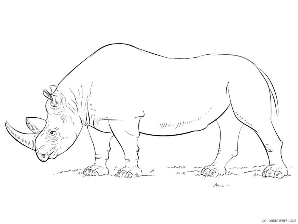 Rhino Coloring Pages Animal Printable Sheets Rhino animal 349 2021 4328 Coloring4free