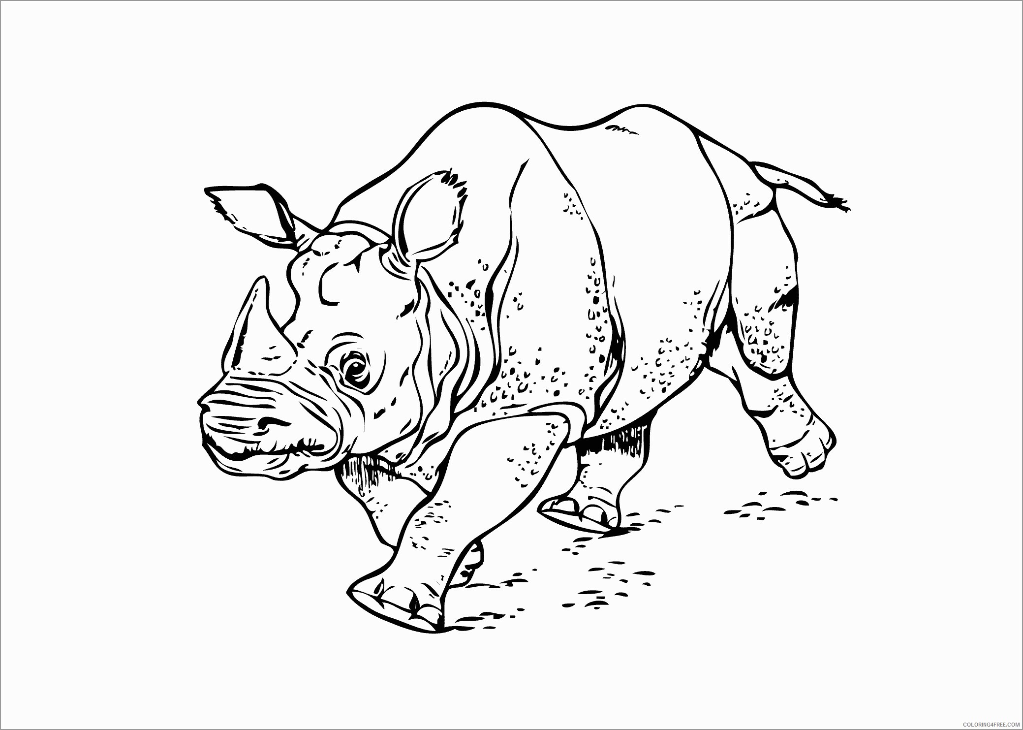 Rhino Coloring Pages Animal Printable Sheets realistic rhino for kids 2021 4316 Coloring4free