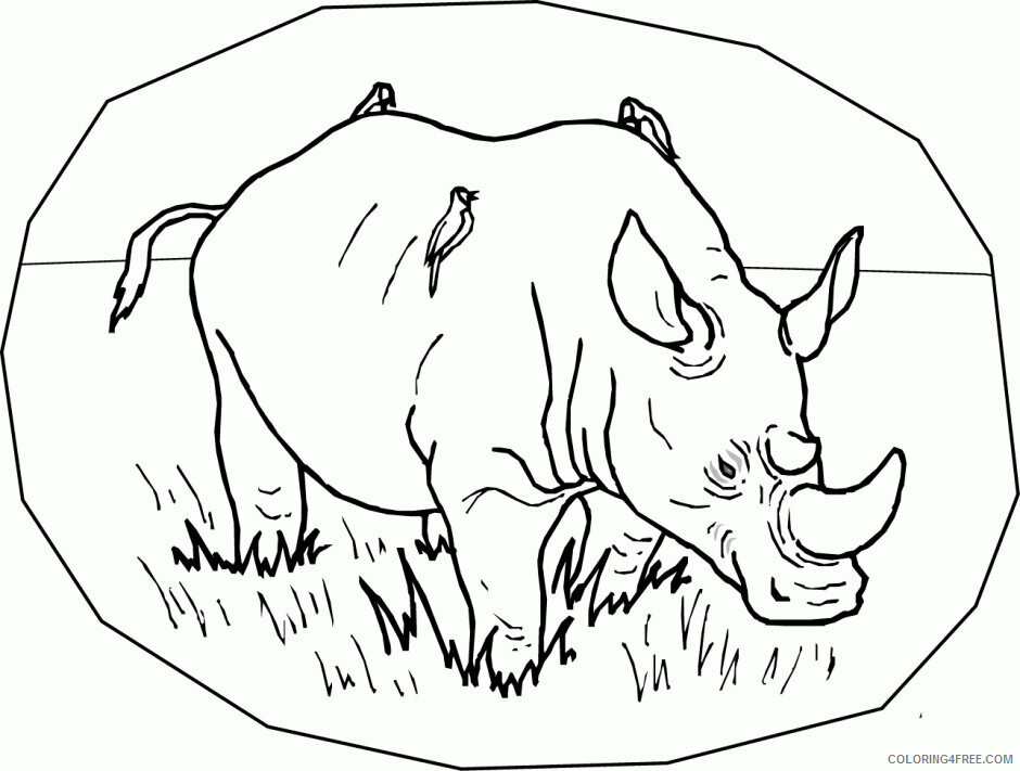 Rhino Coloring Sheets Animal Coloring Pages Printable 2021 3809 Coloring4free