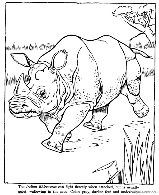 Rhino Coloring Sheets Animal Coloring Pages Printable 2021 3811 Coloring4free