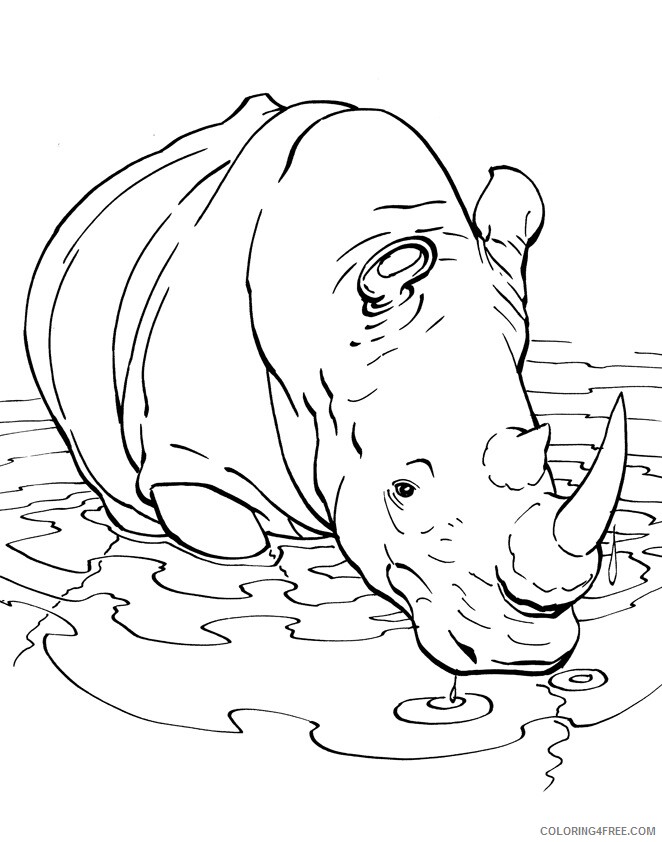 Rhino Coloring Sheets Animal Coloring Pages Printable 2021 3816 Coloring4free