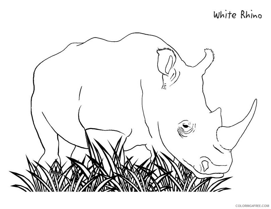 Rhino Coloring Sheets Animal Coloring Pages Printable 2021 3819 Coloring4free