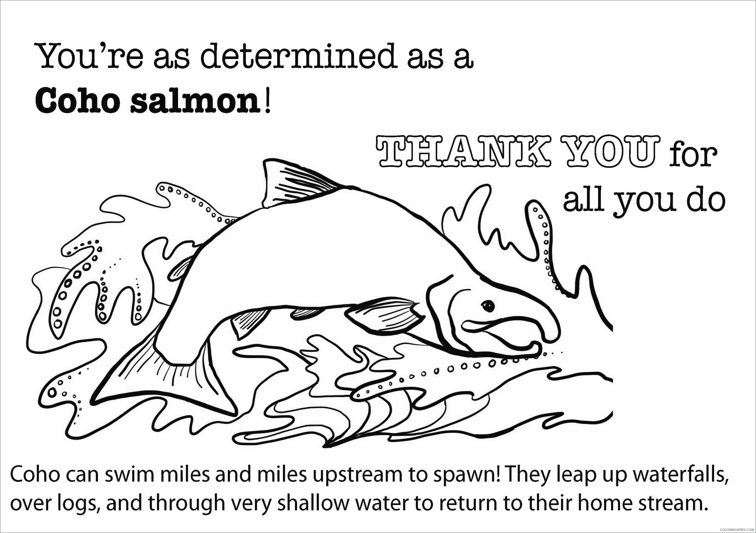 Salmon Coloring Pages Animal Printable Sheets coho salmon 2021 4333 Coloring4free