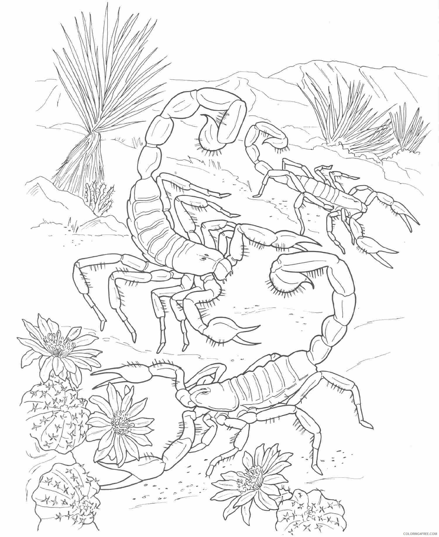 Scorpio Coloring Pages Animal Printable Sheets Desert Scorpions 2021 4339 Coloring4free