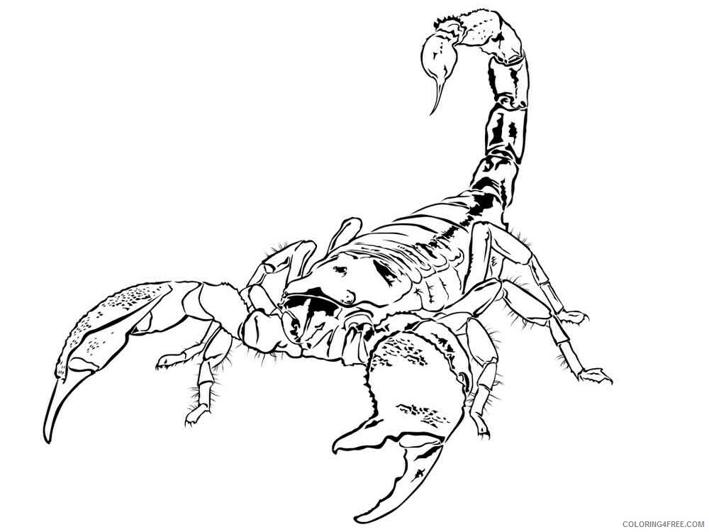 Scorpio Coloring Pages Animal Printable Sheets Scorpio 2 2021 4342 Coloring4free