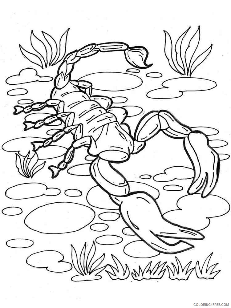 Scorpio Coloring Pages Animal Printable Sheets Scorpio 4 2021 4344 Coloring4free