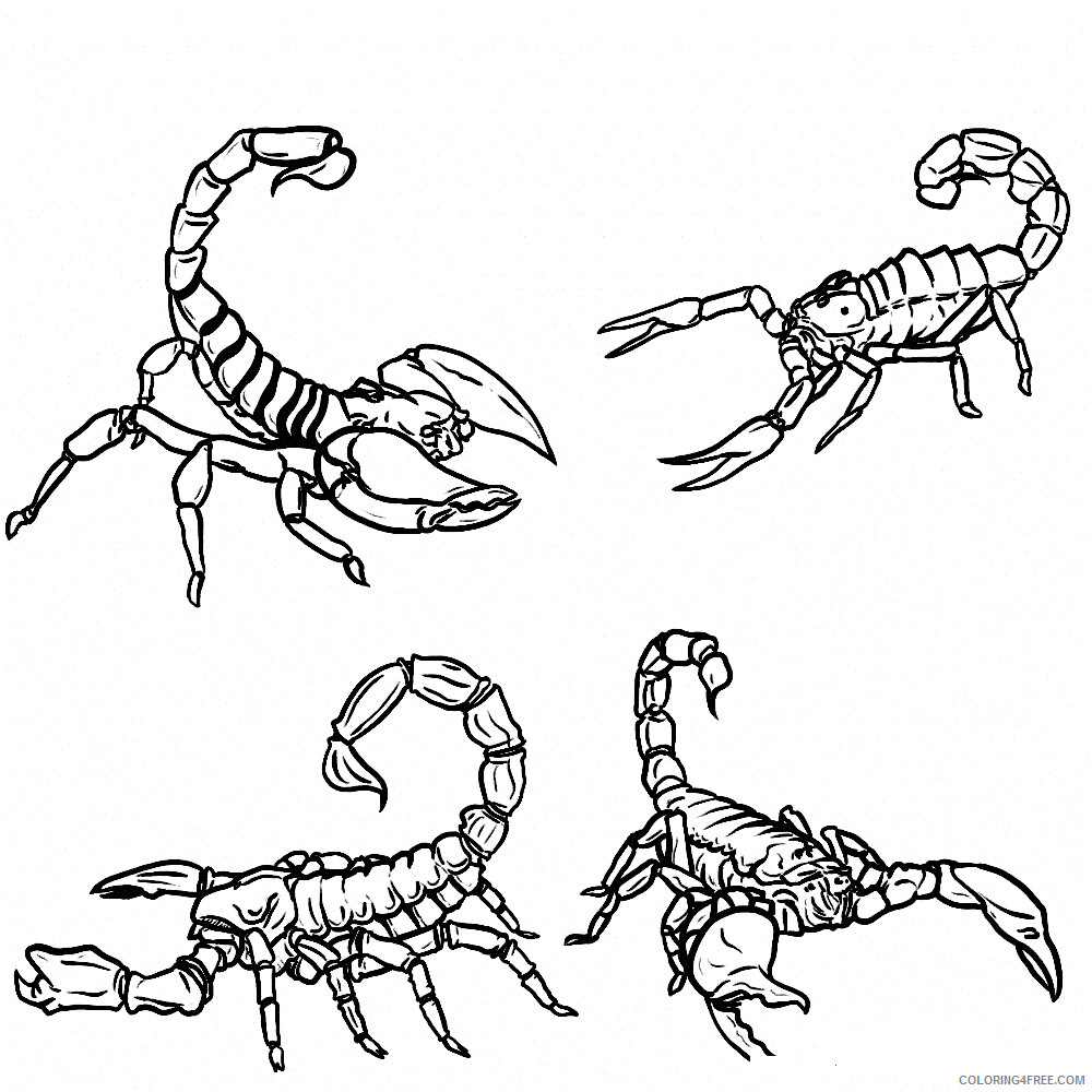 Scorpio Coloring Pages Animal Printable Sheets Scorpions 2021 4351 Coloring4free