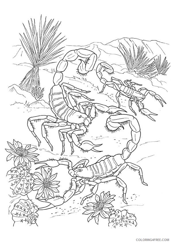 Scorpion Coloring Sheets Animal Coloring Pages Printable 2021 3838 Coloring4free