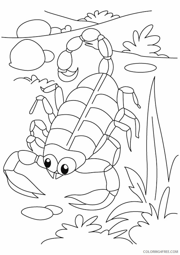 Scorpion Coloring Sheets Animal Coloring Pages Printable 2021 3842 Coloring4free