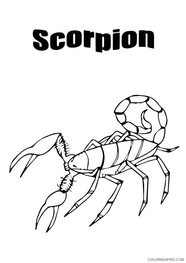 Scorpion Coloring Sheets Animal Coloring Pages Printable 2021 3846 Coloring4free