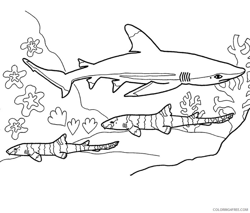 Sea Animal Coloring Sheets Animal Coloring Pages Printable 2021 3872 Coloring4free