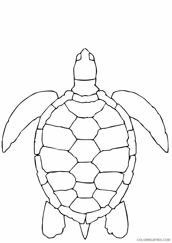 Sea Animal Coloring Sheets Animal Coloring Pages Printable 2021 3909 Coloring4free