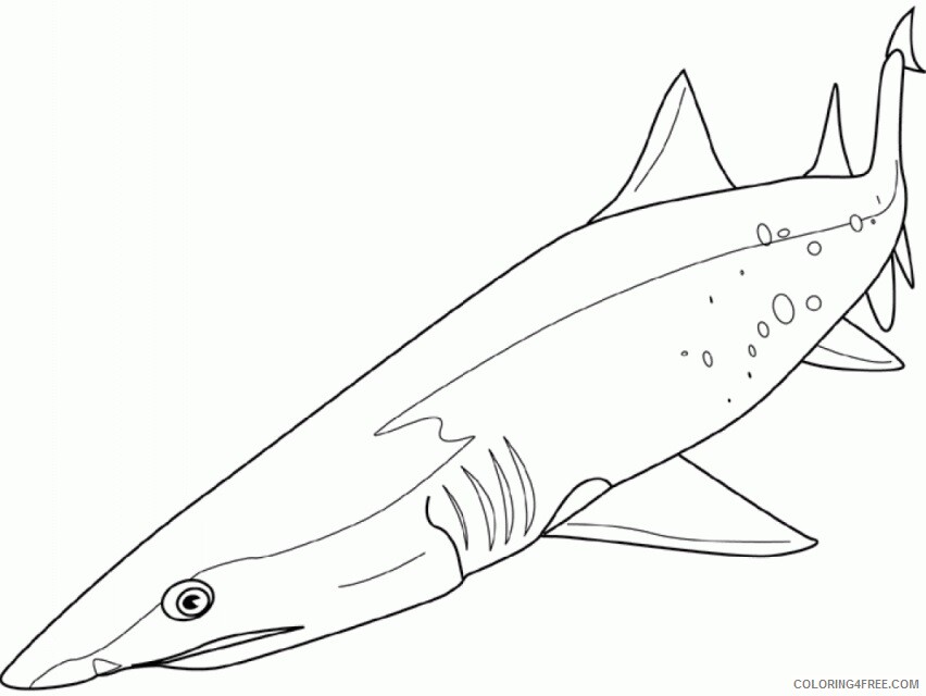 Sea Animal Coloring Sheets Animal Coloring Pages Printable 2021 3913 Coloring4free