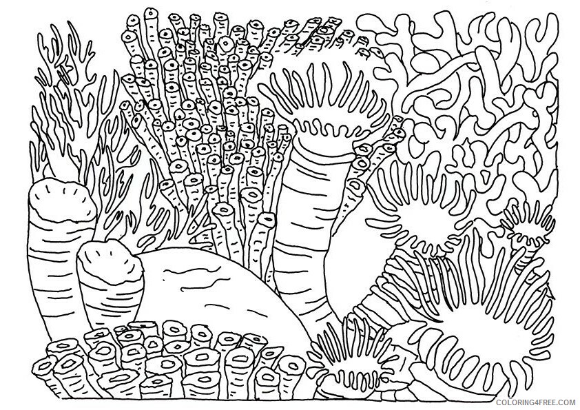 Sea Animal Coloring Sheets Animal Coloring Pages Printable 2021 3937 Coloring4free