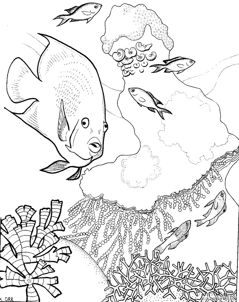 Sea Animal Coloring Sheets Animal Coloring Pages Printable 2021 3938 Coloring4free